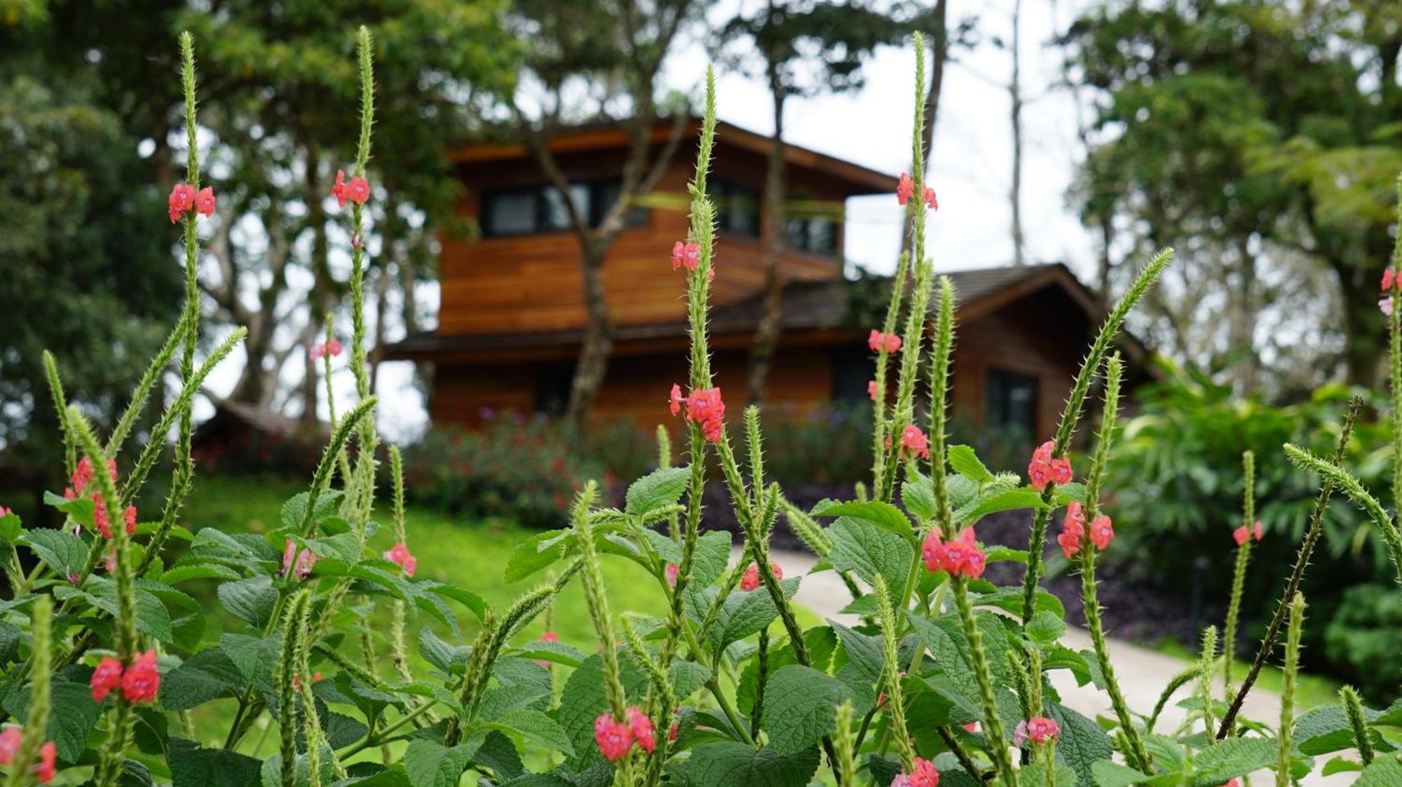 Lucero Golf And Country Club Tree Houses بوكيتي المظهر الخارجي الصورة